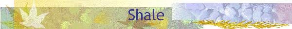 Shale