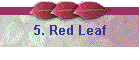 5. Red Leaf